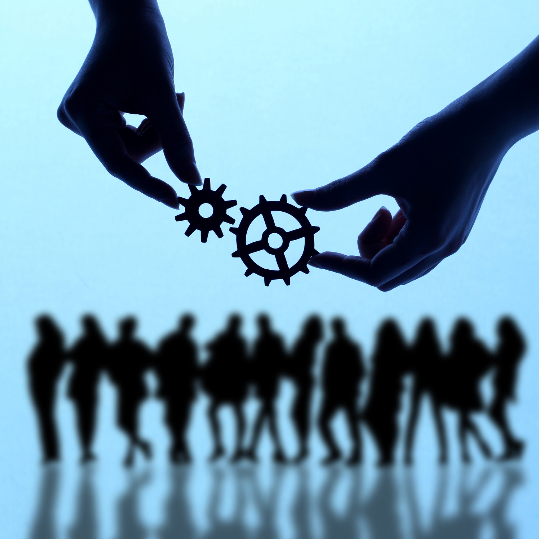 Clm Consultoria
